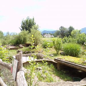 European tortoise enclosure 13.7.25