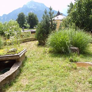 European tortoise enclosure 13.7.25
