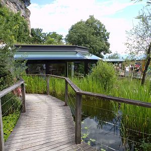 Path up to Paludarium (was closed off) 13.7.25