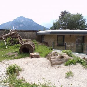 Prairie dog enclosure 13.7.25