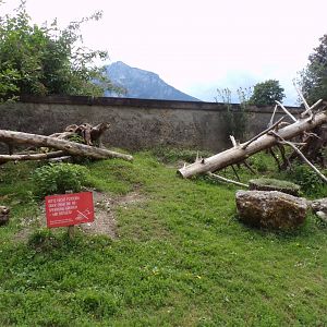 Prairie dog enclosure 13.7.25