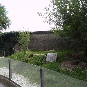 Prairie dog enclosure 13.7.25