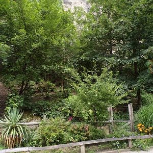 Rhea and mara enclosure 13.7.25