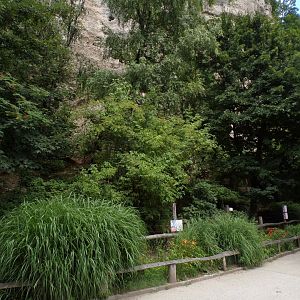 Rhea and mara enclosure 13.7.25