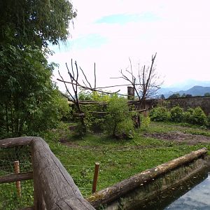 Brazillian tapir and green-winged macaw enclosure 13.7.25