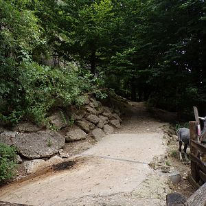 Alpaca enclosure 13.7.25
