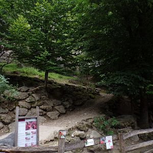 Alpaca enclosure 13.7.25