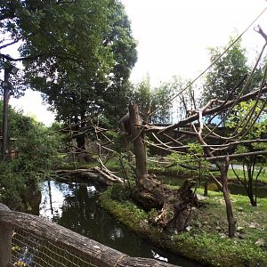Capybara, Black-capped capuchin and turtle enclosure 13.7.25