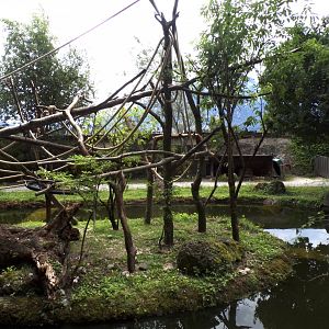 Capybara, Black-capped capuchin and turtle enclosure 13.7.25