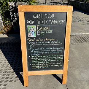 Animal of the Week (Denzel)