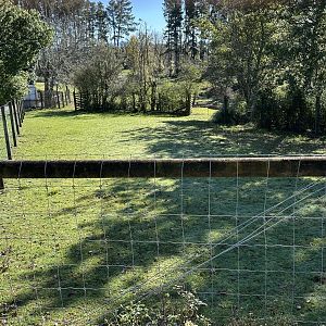 Bison Holding Exhibit