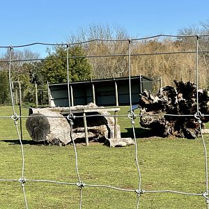 New Savannah Shelter