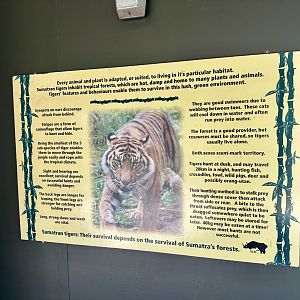 Sumatran Tiger Signage