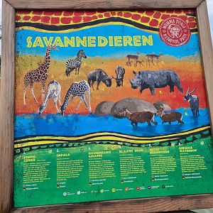 Serenga - Safari yard signage