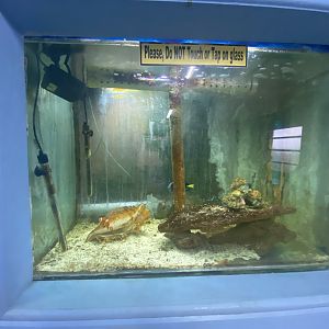 Aquarium 4