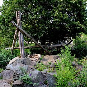 Sun Bear Enclosure - 26/07/25