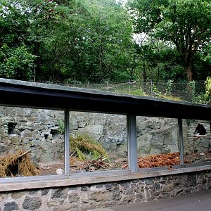 Cape Porcupine... aviary? - 26/07/25