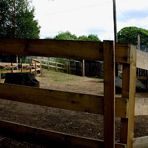 Alpaca Enclosure - 26/07/25