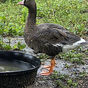 Please help, Can't identify