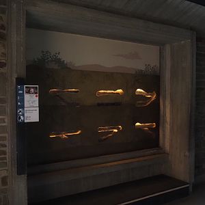 New Naked mole-rat exhibit, 2025-07-21