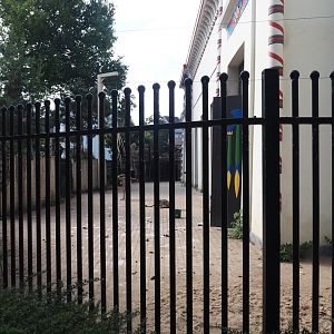 Separation exhibit next to the giraffe exhibit, on the aviary side of the Egyptian Temple, currently home to juvenile ostriches, 2025-07-21