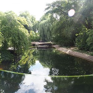 Currently empty pelican pond, soon to be Dalmatian pelican and European white stork exhibit, 2025-07-21