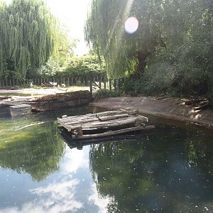 Currently empty pelican pond, soon to be Dalmatian pelican and European white stork exhibit, 2025-07-21