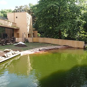 Second new pygmy hippopotamus exhibit in the renovated former common hippopotamus exhibit, 2025-07-21