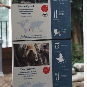 Pygmy hippo and Straw-colored fruit bat signage, 2025-07-21