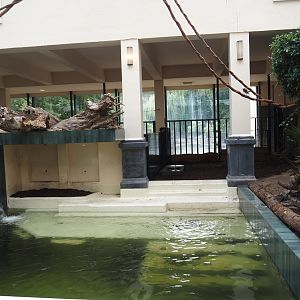 Pool in first new pygmy hippopotamus indoor exhibit in renovated former common hippopotamus indoor housing, 2025-07-21