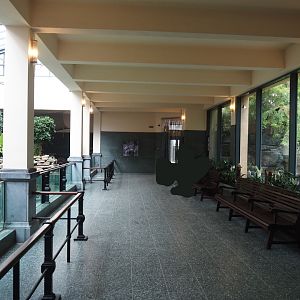 View in the Hippo House, now viewing area for pygmy hippo indoor exhibits (formerly home to common hippos), 2025-07-21