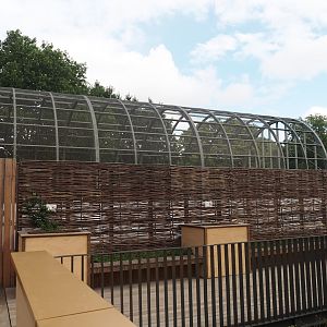 Upper viewing area for the pygmy hippos, with the Hippo House aviary in the background, 2025-07-21