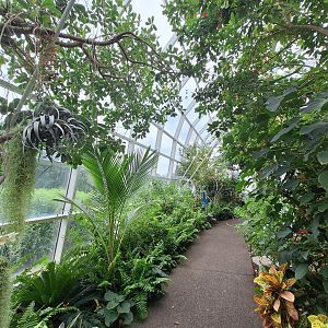 Greenhouse Path
