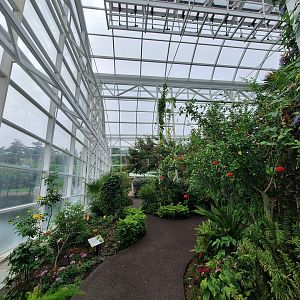 Greenhouse Path