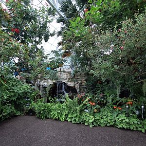 Greenhouse Waterfall