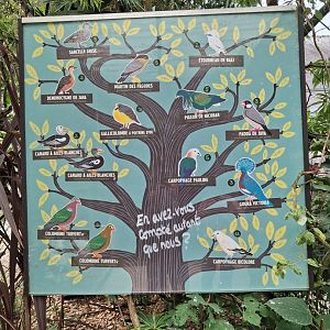 Asian aviary species list and count - Branféré 07/2025