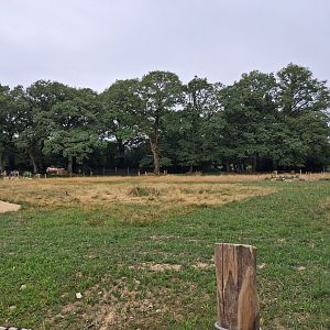 Rotational Chaco exhibit 1