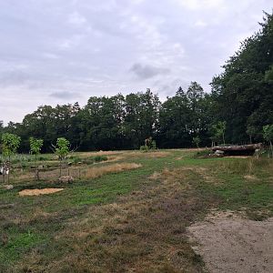 Rotational Chaco exhibit 2