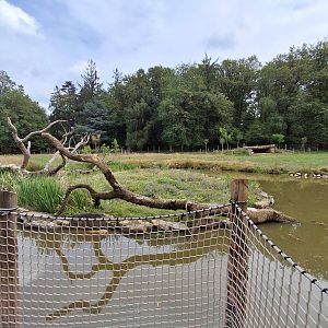 Rotational Chaco exhibit 2 - Secondary view