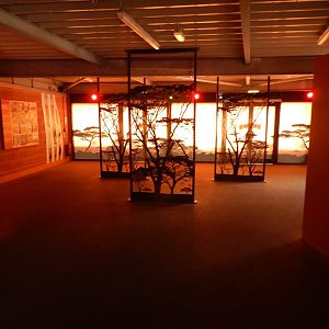 Wild Explorers 150725