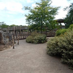 Wild Explorers 150725