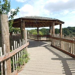 Wild Explorers 150725