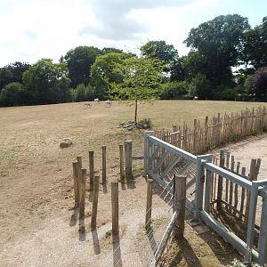 Wild Explorers 150725