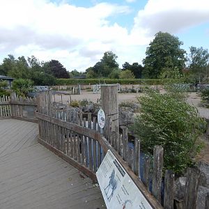 Wild Explorers 150725