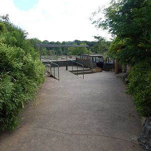 Wild Explorers 150725