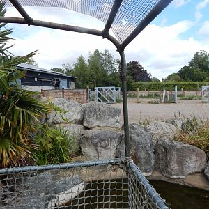 Wild Explorers - view from static truck 150725