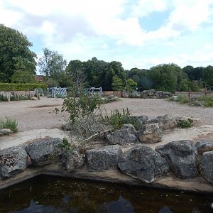 Wild Explorers - view from static truck 150725