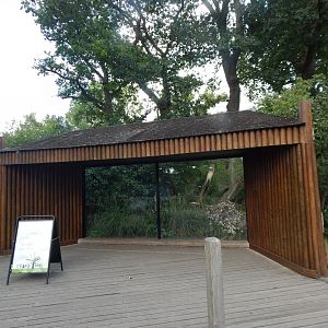 View towards future Nepalese red panda exhibit 150725