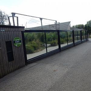 Lemur Walkthrough 150725