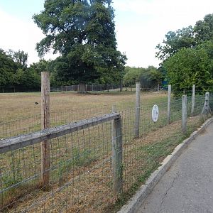 Southern lesser kudu enclosure 150725